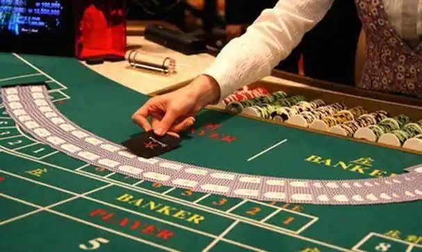 x8bet login