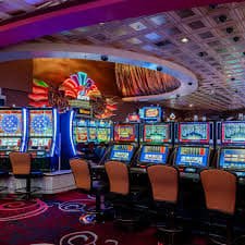 x8bet login