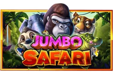 x8bet login